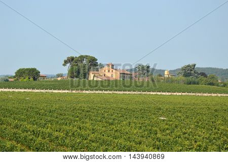 Ancient farm estate with its vineyards in the countryside of Brescia - Italy