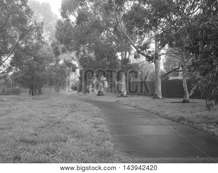 Creepy dark bike path with tree line and heavy fog Melbourne Australia 2015