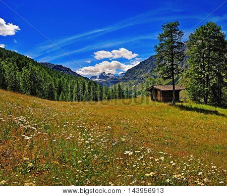 meadow with old house in Alpien mountains with view on Granta Parey