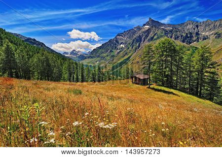 meadow in Alpien mountains with view on Granta Parey