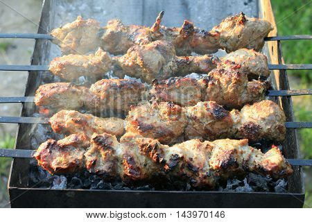 Shashlick laying on the grill close up