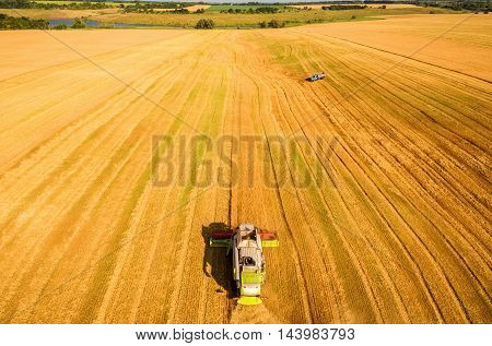 Harvester machine working in field . Combine harvester agriculture machine harvesting golden ripe wheat field. Agriculture. Aerial view. From above.