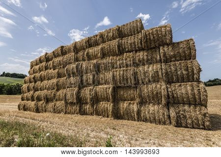 hai bales pile in a field blue sky background closeup