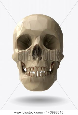 Low poly vector skull front view in 3d realistic look