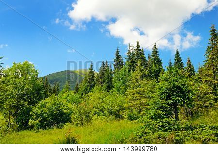 A scenic mountains meadows and blue sky