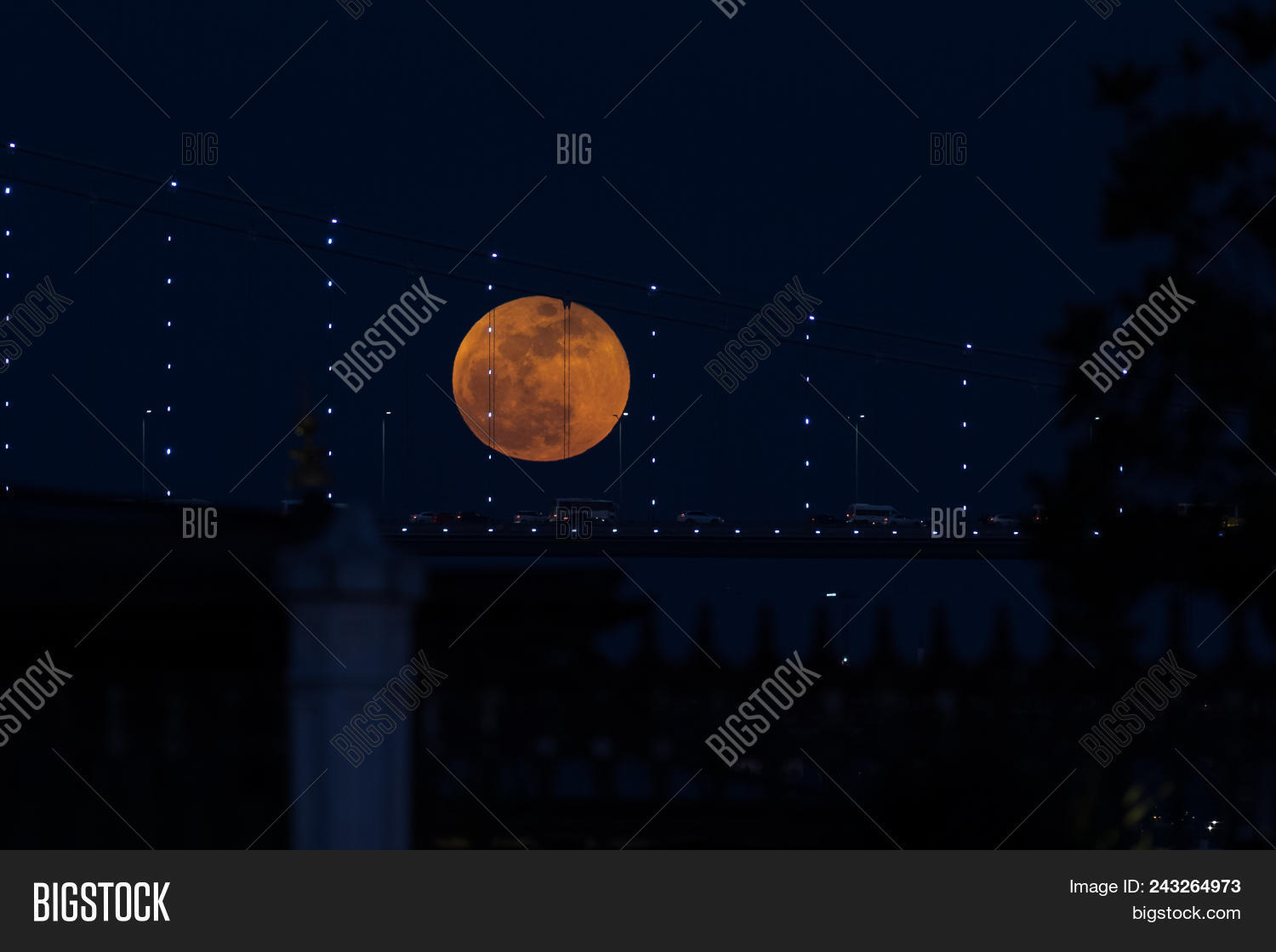 Super Blue Blood Moon Image & Photo (Free Trial) | Bigstock