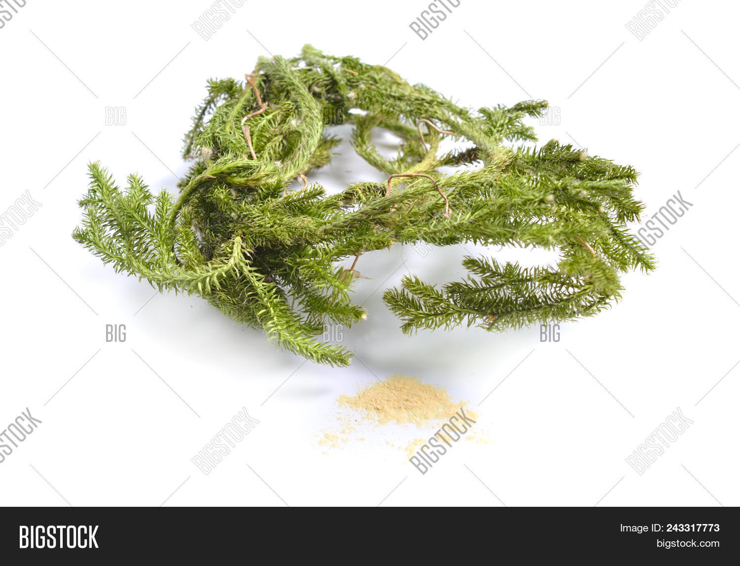 Dried Medicinal Herbs Image & Photo (Free Trial) | Bigstock
