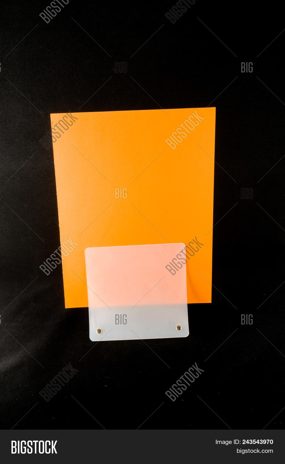blank flyer mockup image photo free trial bigstock