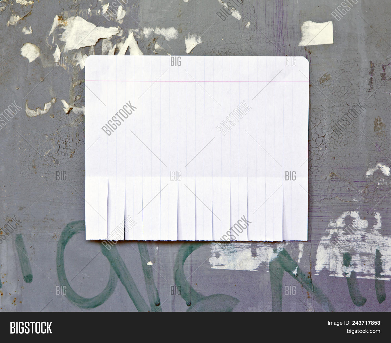 blank white paper tear image photo free trial bigstock tear tabs