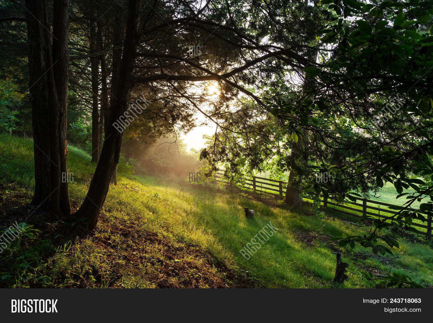 View Pastures Trees On Image & Photo (Free Trial) Bigstock