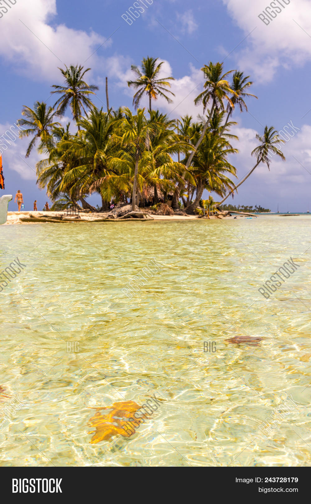 View Isla Pelicano San Image & Photo (Free Trial) | Bigstock