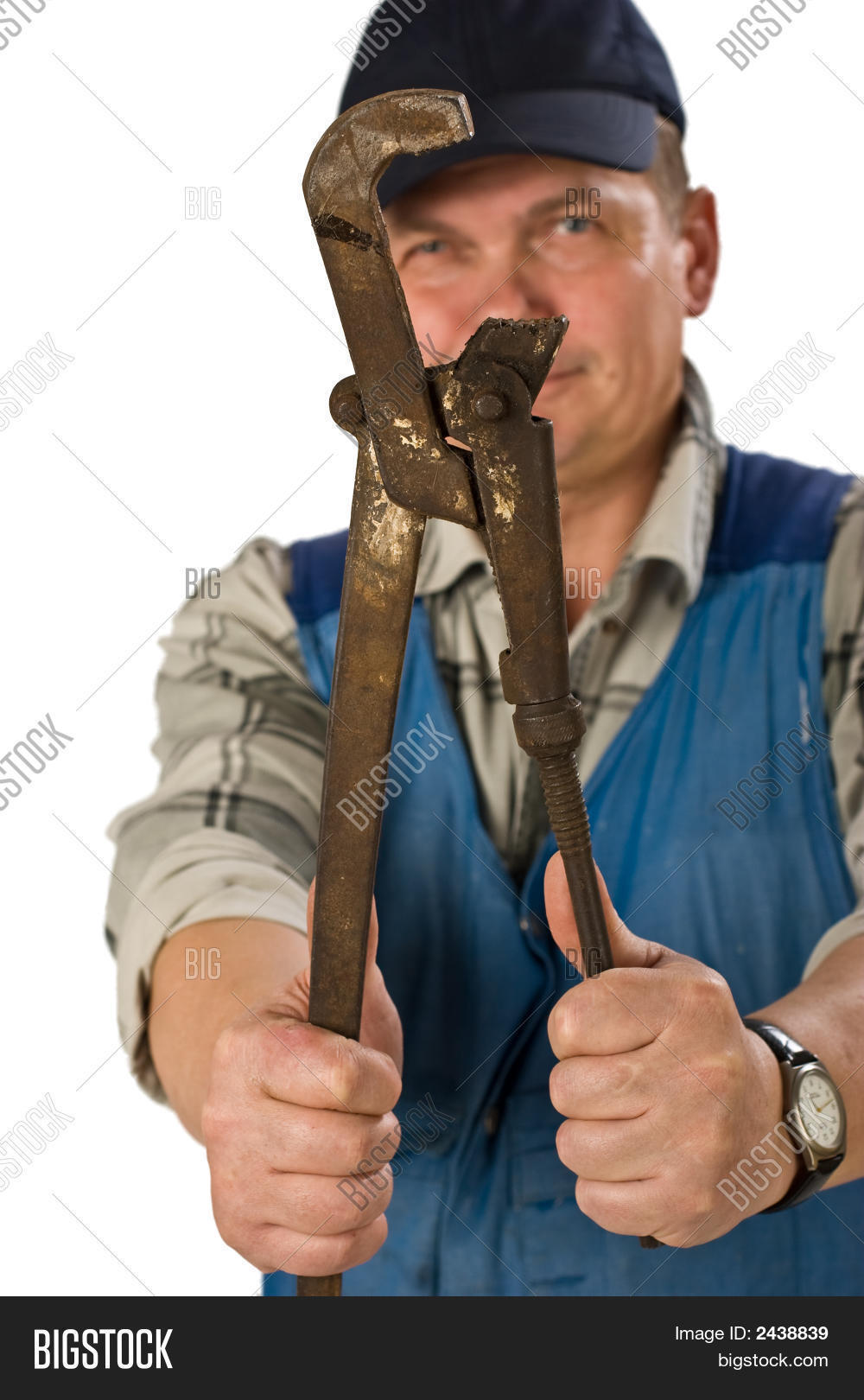 Alligator Wrench Image & Photo (Free Trial) Bigstock