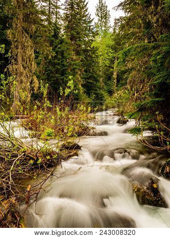 Fish Lake Creek Is Flowing During The Annual Spring Runoff In Glacier National Park.