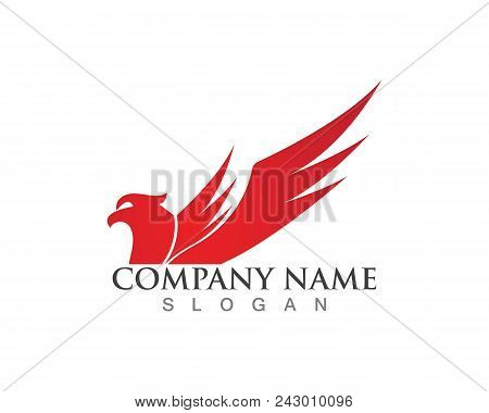 Falcon Eagle Bird Logo Template Vector Icon