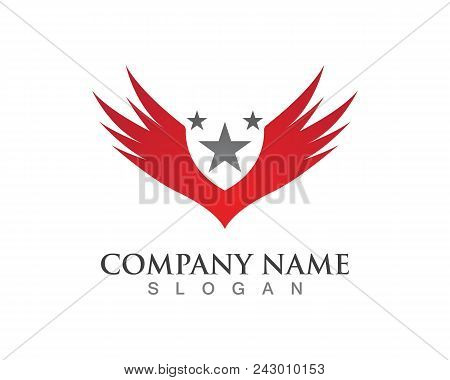 Falcon Eagle Bird Logo Template Vector Icon