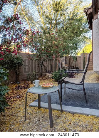 Outdoor Breakfast In Arizona Desert Style Xeriscaped Backyard With Crisp Fresh Air In Early Spring M