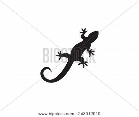 Lizard Logos Template Symbols