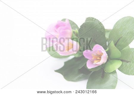 Pink Artificial Flowers And Green Leafs In Fade Background.