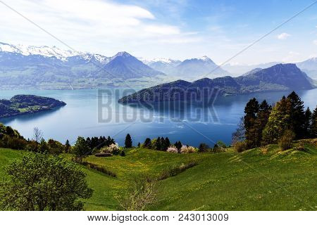 Landscape View Of Lucern Lake , Apls Mountain With Grass Flower In Spring Season