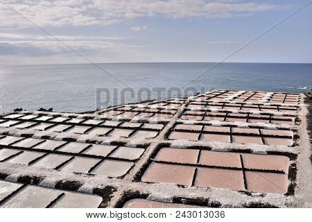 Picture Photo Of Salt Flats In The Canry Islands