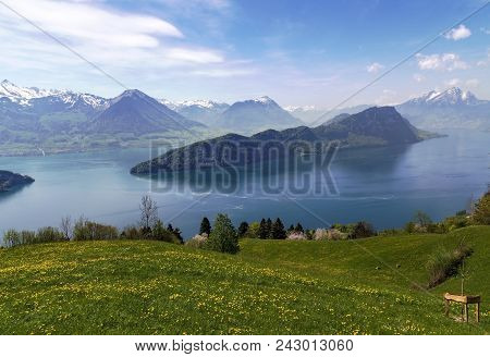 Landscape View Of Lucern Lake , Apls Mountain With Grass Flower In Spring Season
