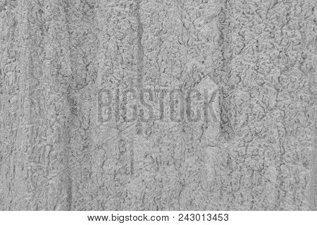 Hard Soil Made Rough Texture. Gray Color Of Soil Background.