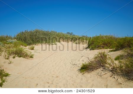 Dunas de arena en Anapa