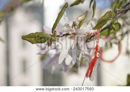 Martenitsa In A Branch Of Magnolia With Flower. Octopus Martenitsa.