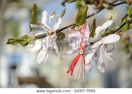 Martenitsa In A Branch Of Magnolia With Flower. Octopus Martenitsa.