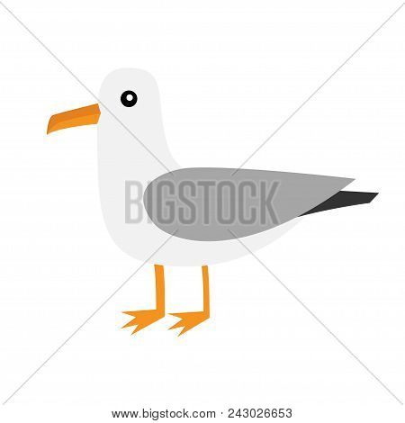 Antarctica Albatross Icon. Petrel Seagull Wandering Royal Bird. Big Beak. Arctic Animal Collection. 