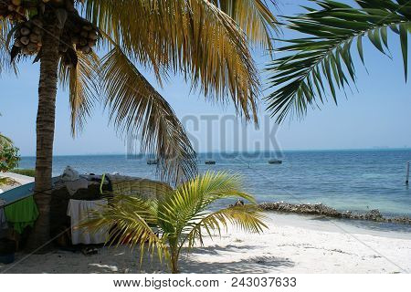 Tropical Island Getaways To Dreamy Paradise Beaches.