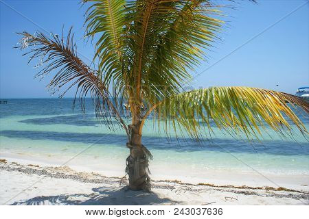Spend Your Summer In A Tropical Paradise.