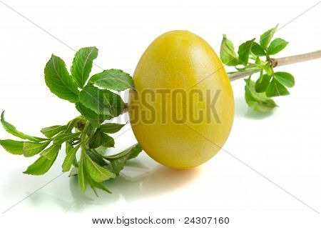 Oeuf de Pâques sur fond blanc