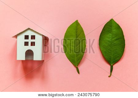 Miniature Toy Model House With Green Leaves On Pink Pastel Colourful Trendy Backgdrop. Eco Village, 