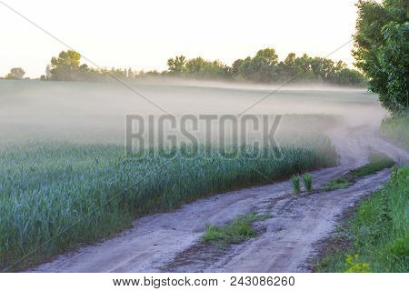 Road Beyond The City Of Impassability And Dust, Wildlife And Changing Seasons