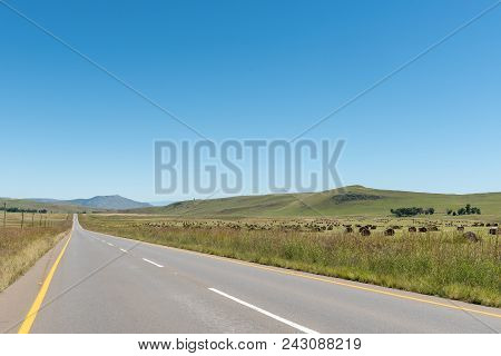 A Farm Landscape With Bales Of Grass Next To Road-r56 Between Kokstad And Cedarville