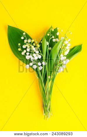 Bunch Of Tender White Spring Lilies Of Valley. Studio Photo