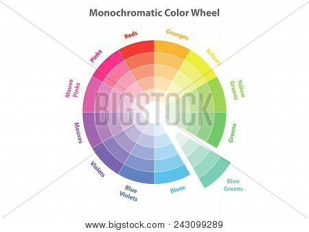 Monochromatic Color Wheel, Color Scheme Theory, Blue Greens Color In Evidence, Vector Isolated Or Wh