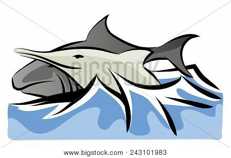 Shark And Dolphin.

Shark And Dolphin Swimming Together.
Sea Life With Fishes.