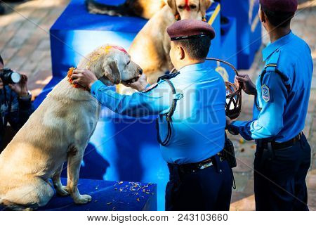KATHMANDU, NEPAL - OCTOBER 29, 2016: Nepal police celebrates Kukur Tihar (dog festival) at Central Police Dog Training School.