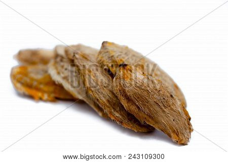 Dried Mango Seeds Or Sukhi Aam Ki Ghuthli Isolated On White.