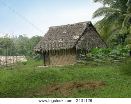 Hut_Green
