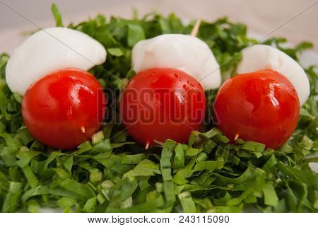 Tris Of Mozzarelle And Fresh Tomatoes On Green Cut Salad
