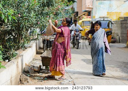 Old Indian Woman Picking Flowers At The Indian City Street 11 February 2018 Puttaparthi, India