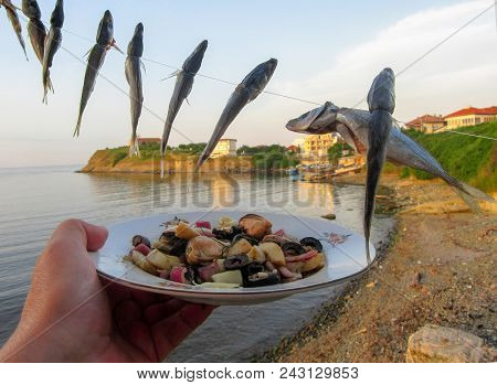 Mackerel (caranx Trachurus) Of Fishing Line And Seafood Salad Against A Backdrop Of Sea Landscape In