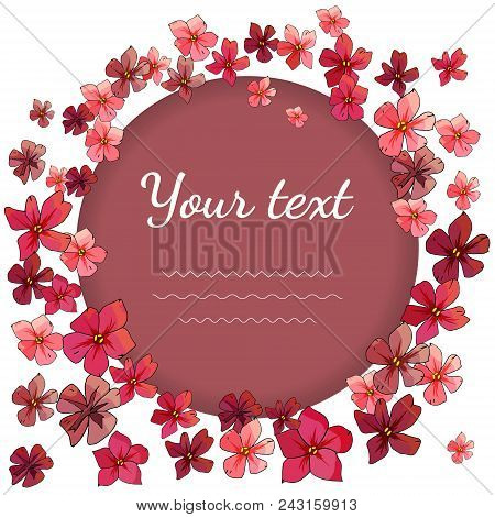 Floral Template With Phlox Flowers Isolated On White. Excellent Print For Greeting Cards, Gift Box.