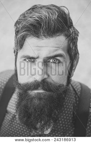 Serious Man. Portrait View Of One Handsome Senior Stylish Man With Black Hair And Long Lush Beard In