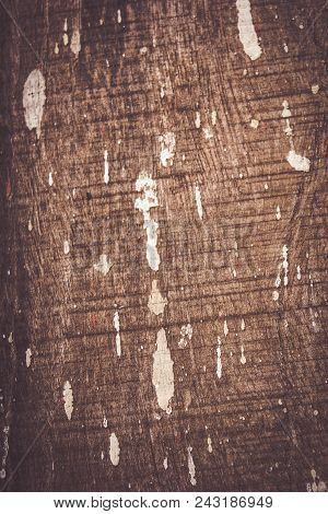 Abstract Paint Stain On Weathered Wooden Board