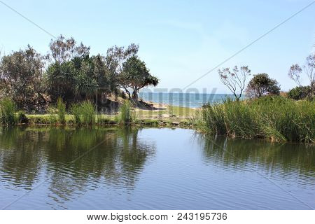 Freshwater Rock Pool by the Sea, Angourie Fresh water rock pool,  Angourie New South Wales, Australia