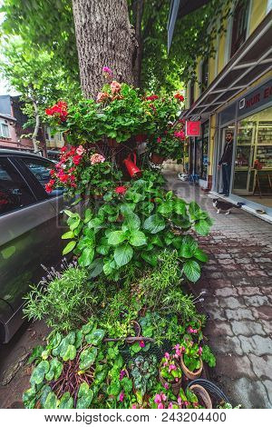 Istanbul, Turkey: Beautiful Decoration Of Street Cafe In Kuzguncuk District With Flowers And Plants 